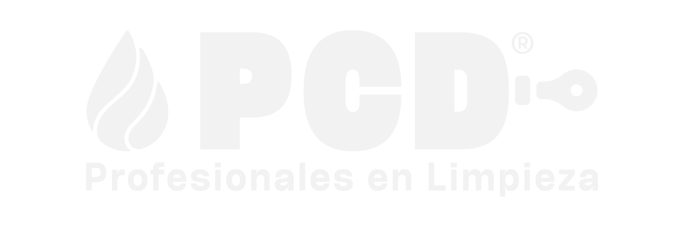 PCD Profesionales en Limpieza